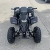 2006 Yamaha Blaster Special Edition