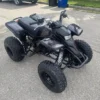 2006 Yamaha Blaster Special Edition