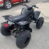 2006 Yamaha Blaster Special Edition