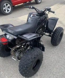 2006 Yamaha Blaster Special Edition