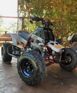 1991 Yamaha Banshee 350+ Custom Rebuild