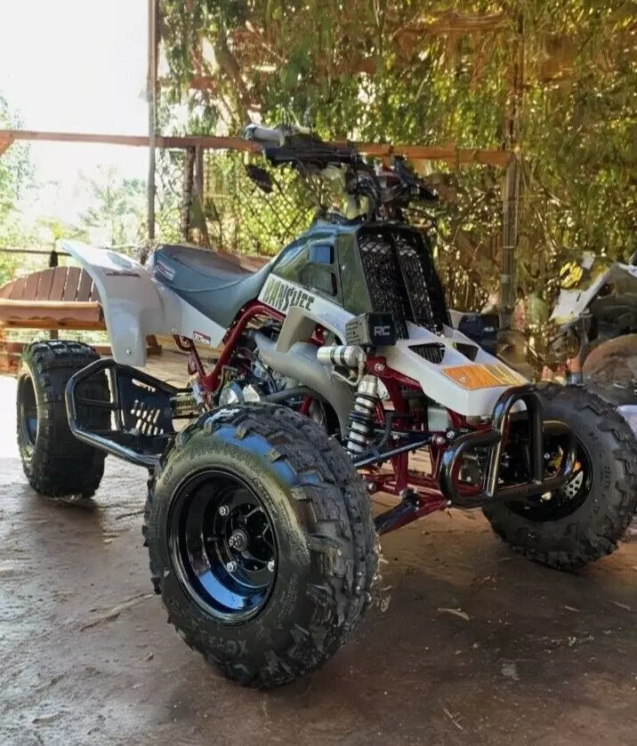 1991 Yamaha Banshee 350+ Custom Rebuild 1991 Yamaha Banshee 350+ Custom Rebuild